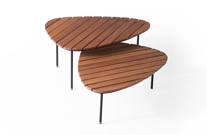 Mesa de Centro Fóssil