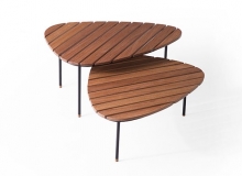 Mesa de Centro Fóssil